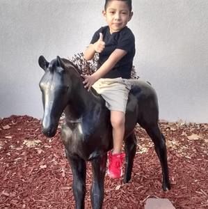 Meet your Posher, Javier